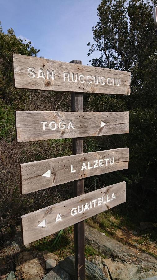 A Tana Di A Volpe Διαμέρισμα Ville-di-Pietrabugno Εξωτερικό φωτογραφία