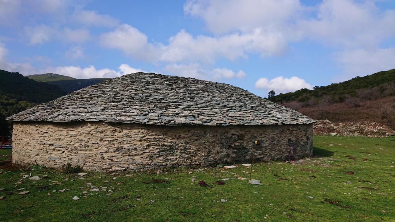 A Tana Di A Volpe Διαμέρισμα Ville-di-Pietrabugno Εξωτερικό φωτογραφία