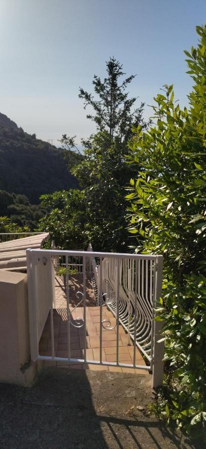 A Tana Di A Volpe Διαμέρισμα Ville-di-Pietrabugno Εξωτερικό φωτογραφία